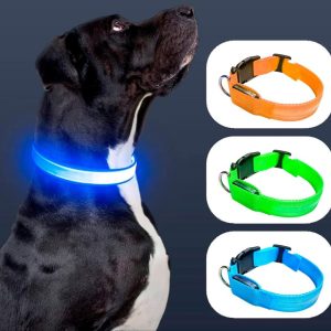 Collar para mascota led